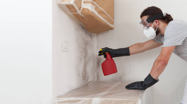 Professional Basement Mold Remediation technician working in Ashland, KY