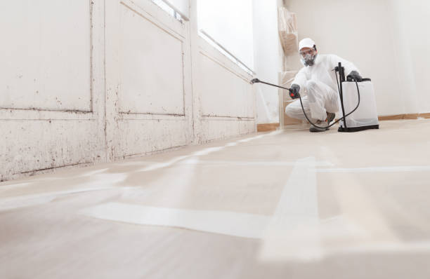 24/7 Emergency Basement Mold Remediation experts in Ashland, KY